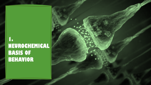 The Biological Approach AQA A Level Psychology | Teaching Resources
