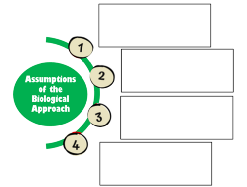 The Biological Approach AQA A Level Psychology | Teaching Resources