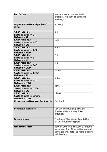 docx, 15.24 KB