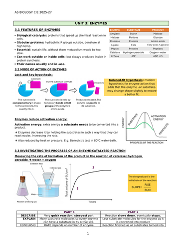 docx, 491.15 KB