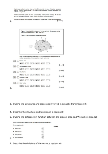 docx, 217.9 KB