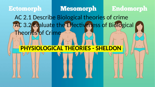 Criminology L3 WJEC Unit 2 ACs 2.1 & 3.2 Describe & Evaluate Sheldon's ...