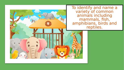 KS1 To identify and name a variety of common animals | Teaching Resources