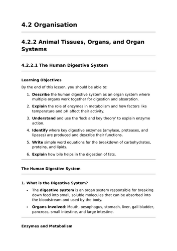 The Human Digestive System - Lesson for GCSE Biology