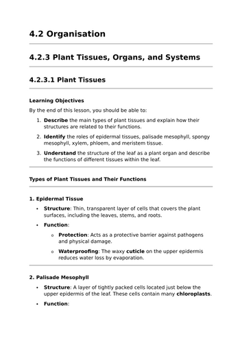 Plant Tissues - Lesson