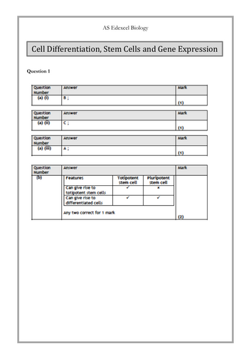 Cell Differentiation and Stem Cells IAS Edexcel Past Paper Questions with Answers