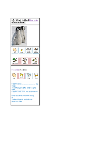 docx, 316.19 KB