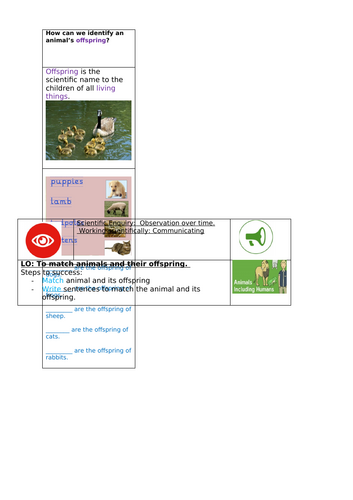 docx, 1019.03 KB