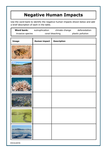 Negative Human Impacts + Answers