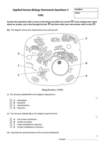 docx, 640.29 KB