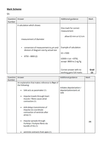 docx, 1.07 MB