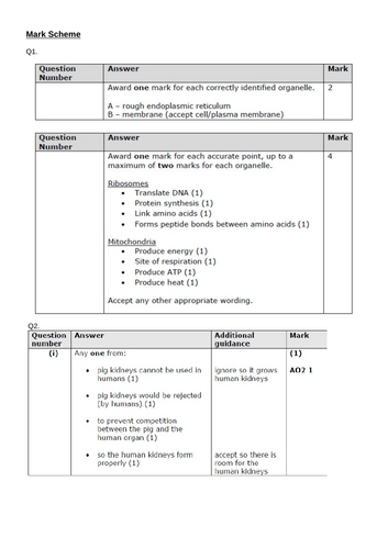 docx, 1.08 MB