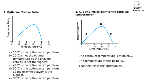 GCSE Enzyme Describing Graphs Worksheets with Answers | Teaching Resources