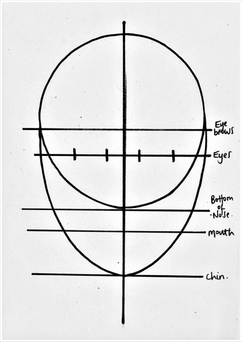 Proportions of the Human Face | Teaching Resources