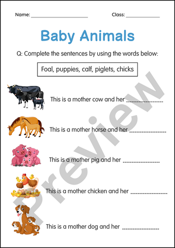 Printable Animals and Their Babies Activity Worksheets for Grade 1, 2 ...