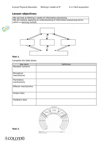 docx, 736.29 KB