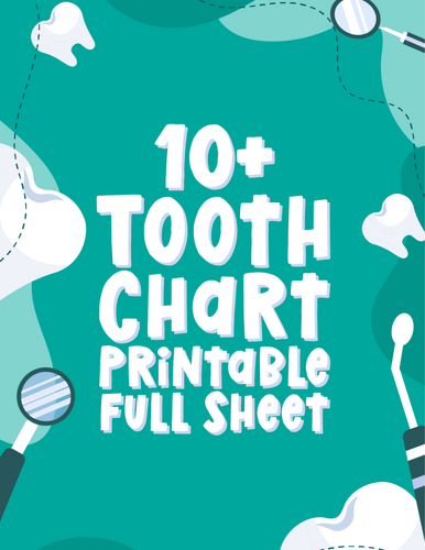 Full-Sheet Tooth Chart Printable for Dental Tracking and Learning ...