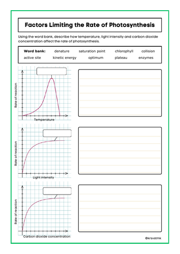 Factors Limiting the Rate of Photosynthesis + Answers