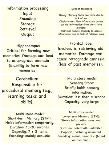 OCR GCSE Psychology Memory revision cards | Teaching Resources