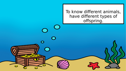 KS1 To know different animals have different types of offspring ...