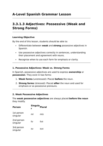 Possessive Adjectives - A-Level Spanish Grammar