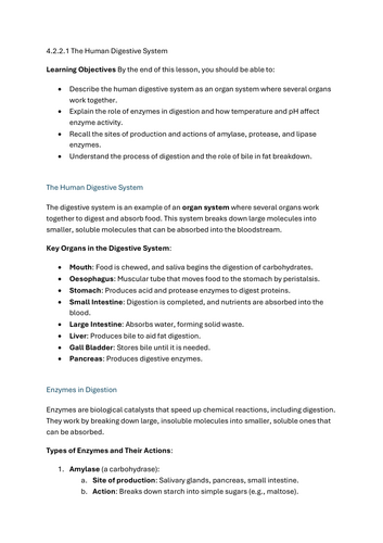 The human digestive system - GCSE Biology