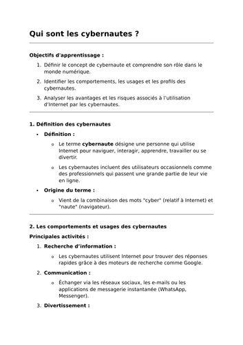 Qui sont les cybernautes ? - A-Level French Lesson