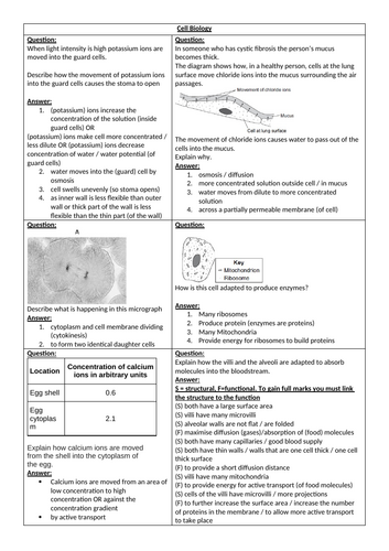 docx, 1009.52 KB