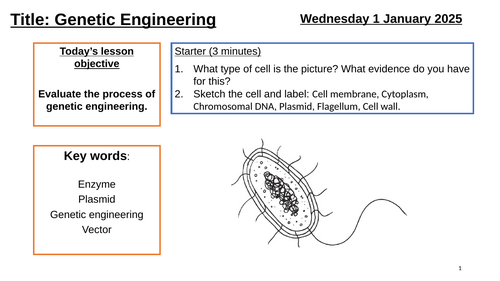 AQA GCSE Biology "Lesson 18 - Genetic Engineering" (Inheritance, Variation & Evolution Topic)