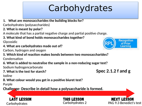 Carbohydrates 2- A-level Biology OCR A (Module 2)