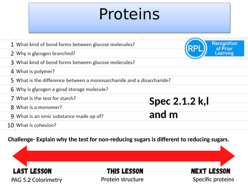 Protein structure- A-level Biology OCR A (Module 2)