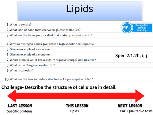 Lipids- A-level Biology OCR A (Module 2)