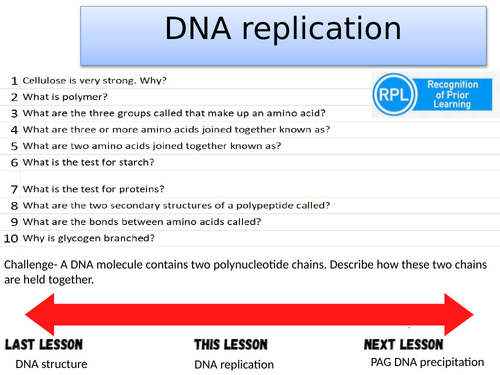 DNA replication- A-level Biology OCR A (Module 2)