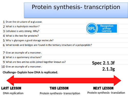 Protein synthesis- Transcription- A-level Biology OCR A (Module 2)