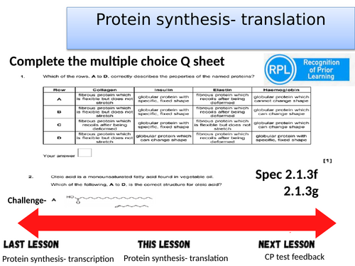 Protein synthesis- Translation- A-level Biology OCR A (Module 2)