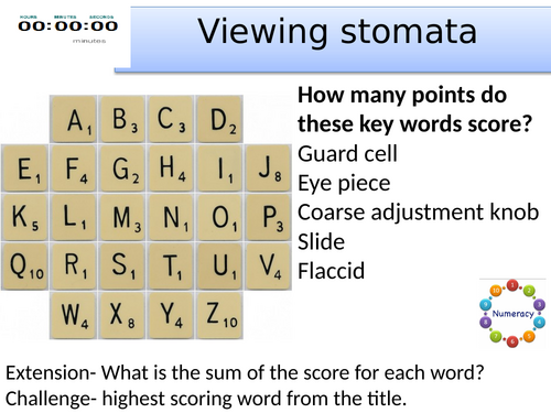 KS3 Viewing stomata