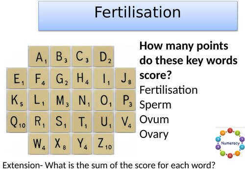 KS3 Fertilisation