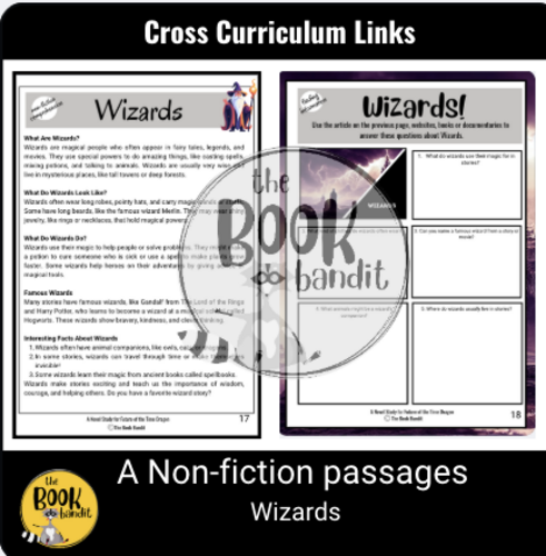 DRAGON MASTERS #15 Future of the Time Dragon NOVEL STUDY | Teaching ...