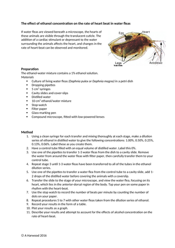 docx, 72.96 KB