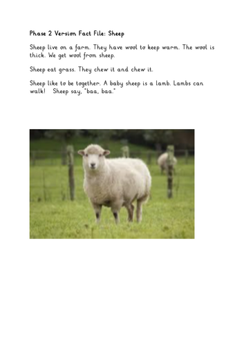 Early Readers Comprehension - Sheep Fact File and Questions (Phase 2 ...