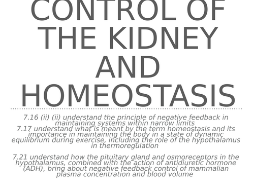 A2 international 7C chapter - Muscles, Control of the internal ...