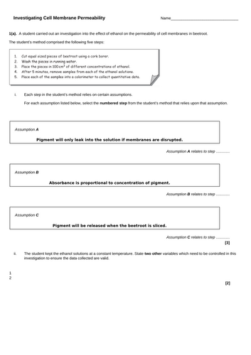 docx, 76.06 KB