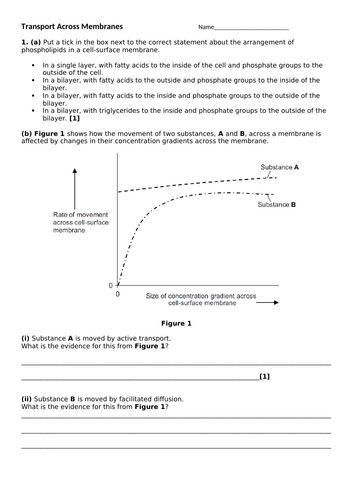 docx, 358.64 KB