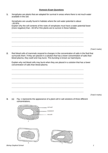 docx, 182.95 KB