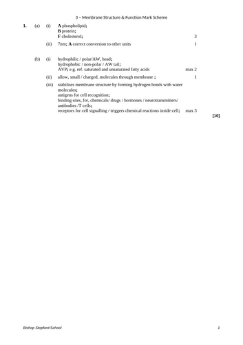 docx, 27.59 KB