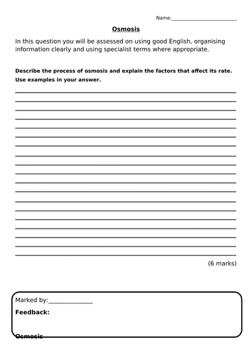 docx, 28.29 KB