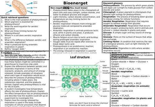 KS4 AQA Biology revision knowledge organisers | Teaching Resources