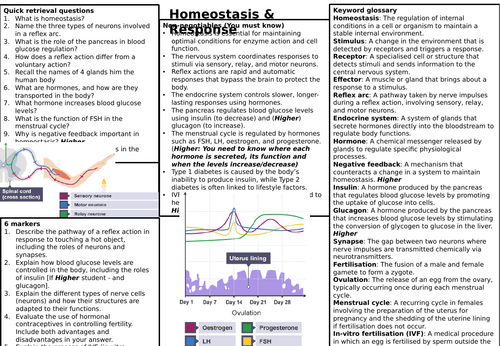 KS4 AQA Biology revision knowledge organisers | Teaching Resources
