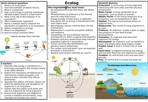 KS4 AQA Biology revision knowledge organisers | Teaching Resources