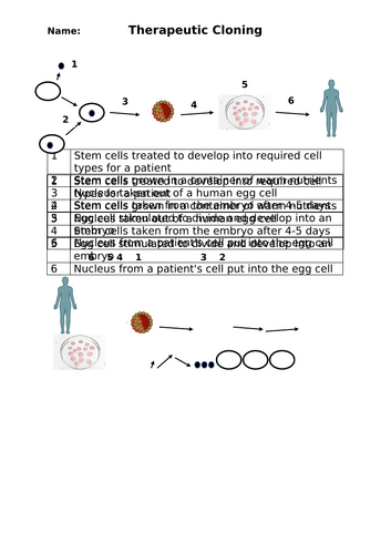 AQA GCSE Cell Biology Series of Full Lessons | Teaching Resources